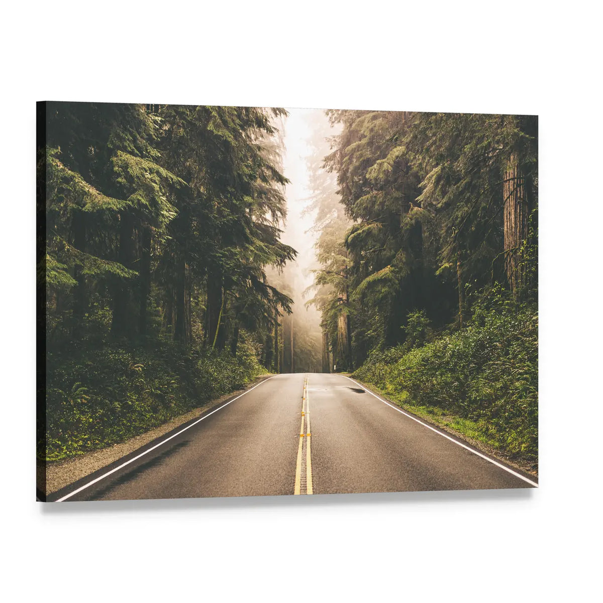 Redwood Forest Highway, California Canvas Wall Art, single panel gallery wrapped canvas, angled product view
