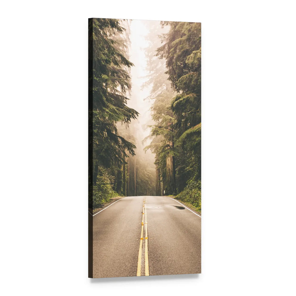 Redwood Forest Highway in California Vertical Canvas Wall Art, 1 panel 1 Vertical layout gallery wrapped canvas set, angled product view