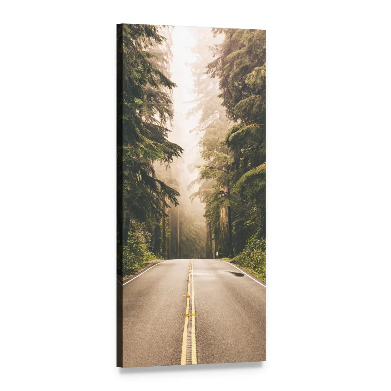 Redwood Forest Highway in California Vertical Canvas Wall Art, 1 panel 1 Vertical layout gallery wrapped canvas set, angled product view