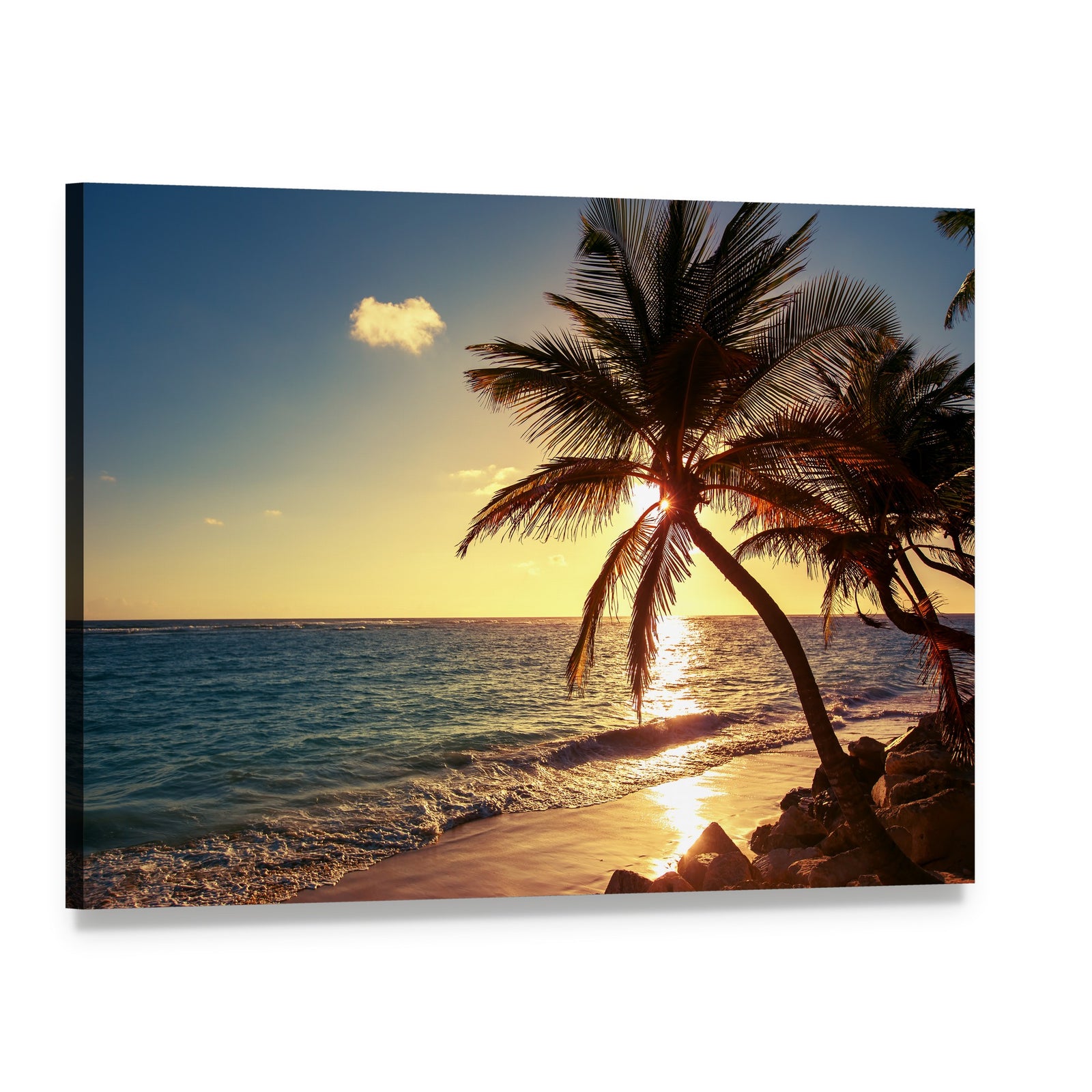 Palm Tree on Tropical Beach Canvas Wall Art, single panel gallery wrapped canvas, angled product view
