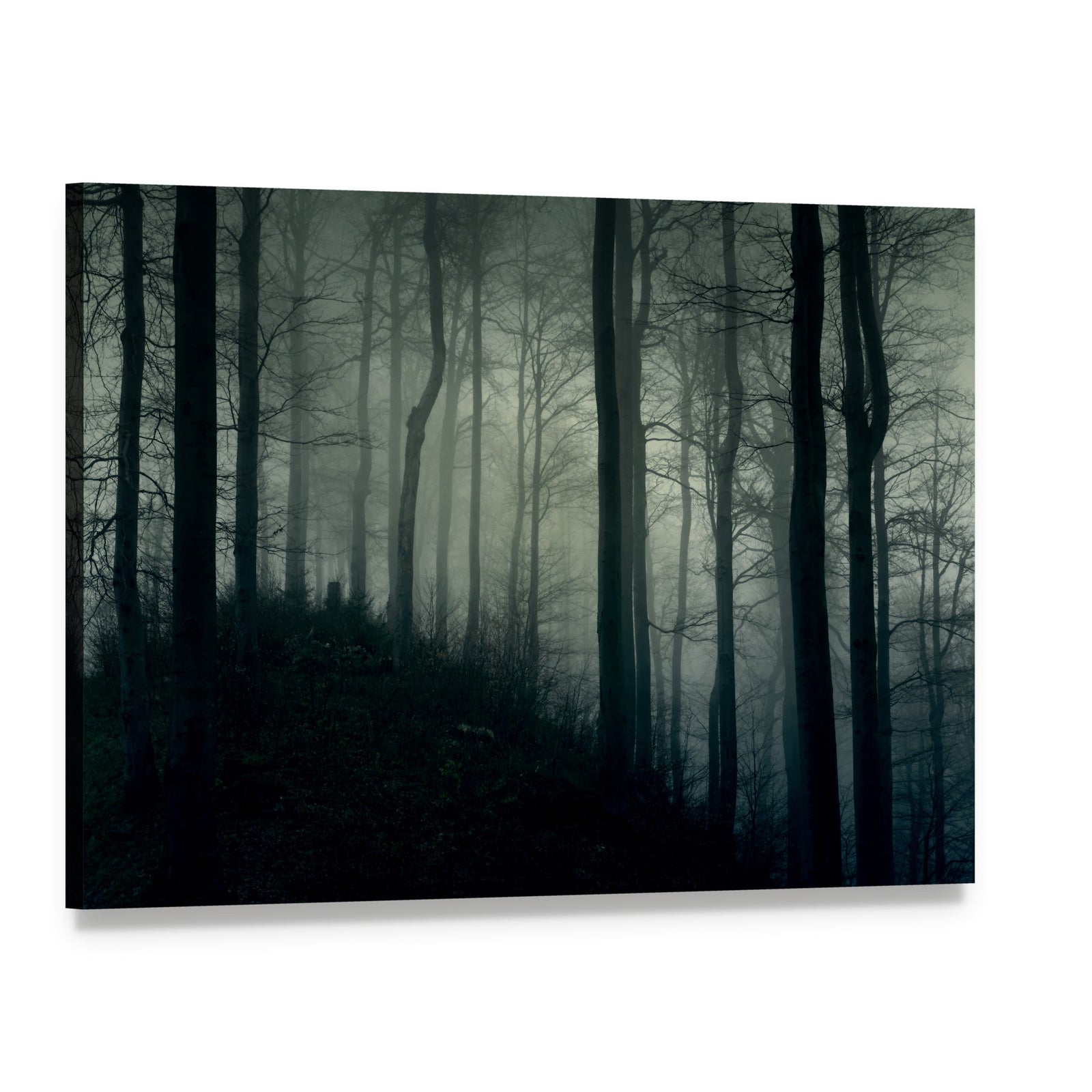 Foggy Jungle Horror Canvas Wall Art, single panel gallery wrapped canvas, angled product view