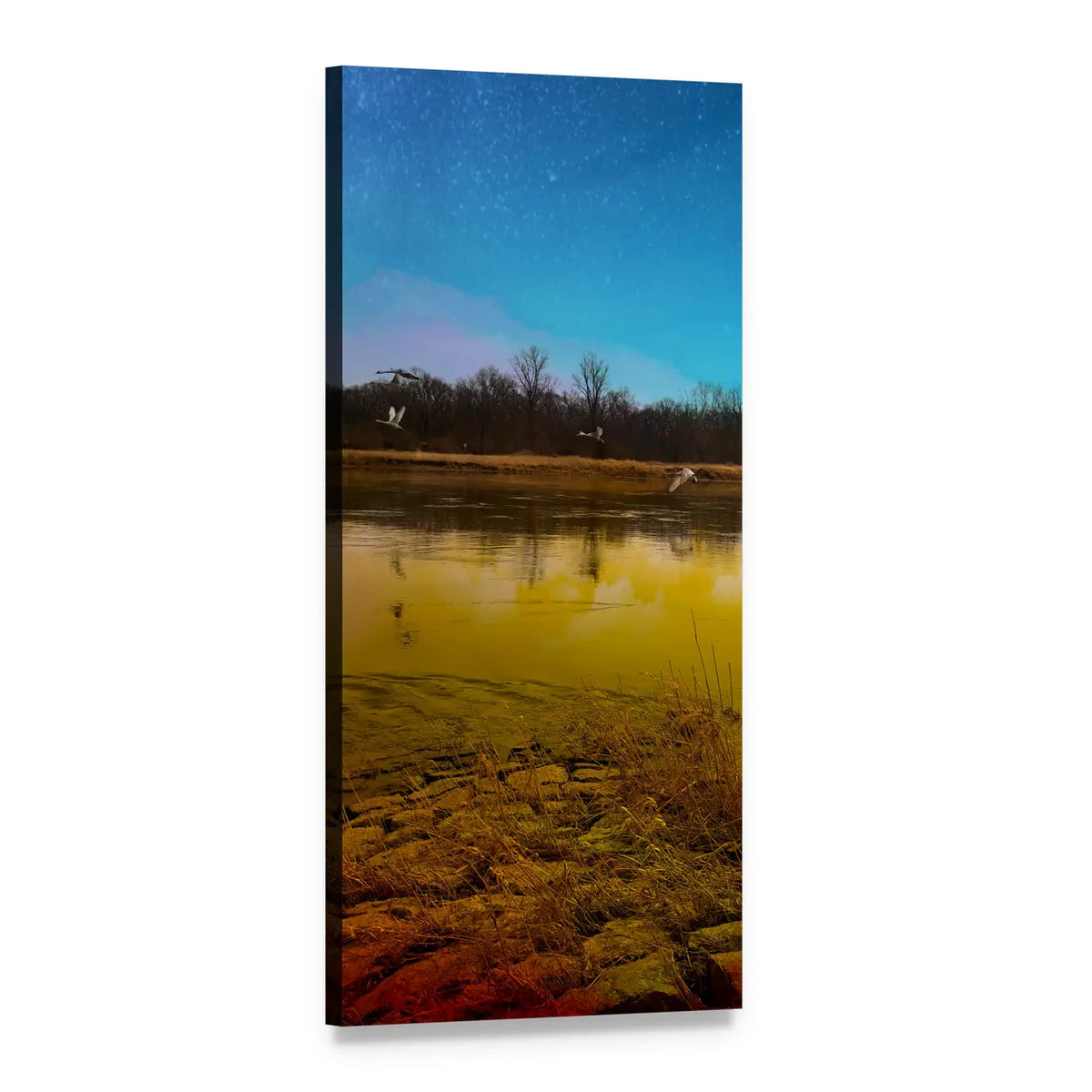 Moonlit River with Swans in Flight Vertical Canvas Wall Art, 1 panel 1 Vertical layout gallery wrapped canvas set, angled product view