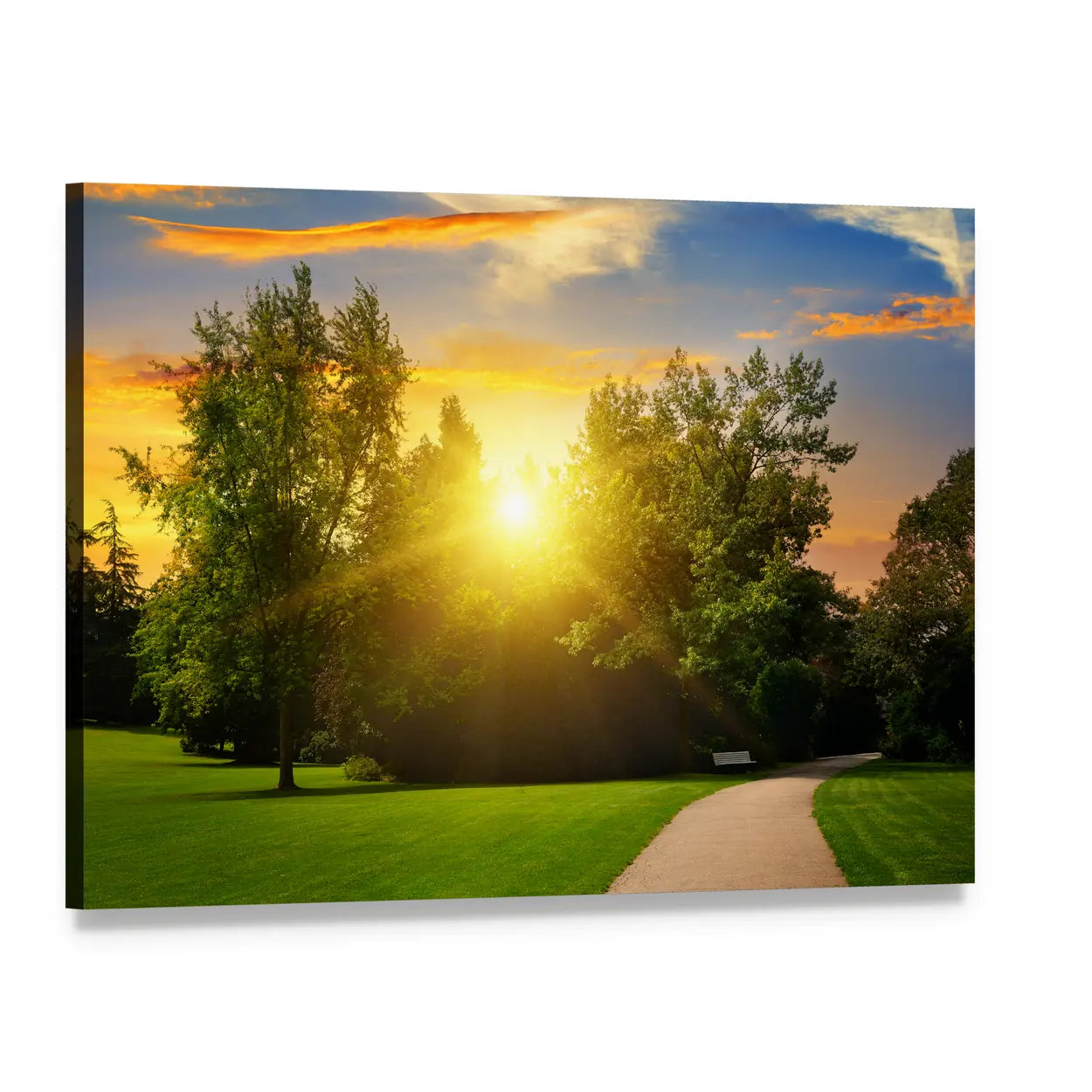 Summer Park at Sunset Canvas Wall Art, single panel gallery wrapped canvas, angled product view