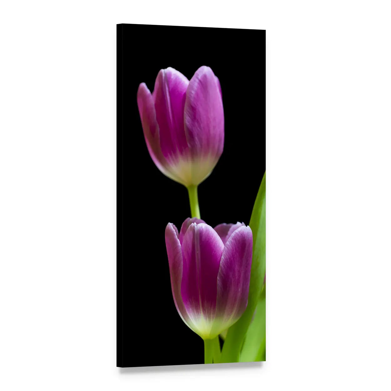 Purple Tulips on Black Background Vertical Canvas Wall Art, 1 panel 1 Vertical layout gallery wrapped canvas set, angled product view