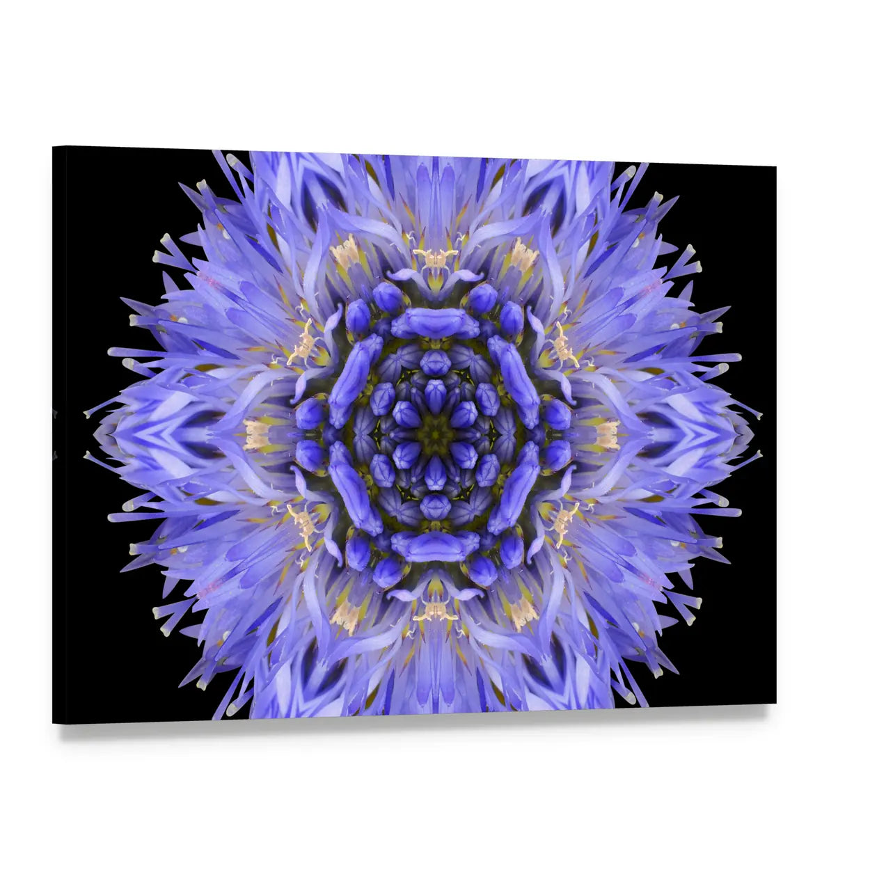 Blue Mandala Cornflower Canvas Wall Art, single panel gallery wrapped canvas, angled product view