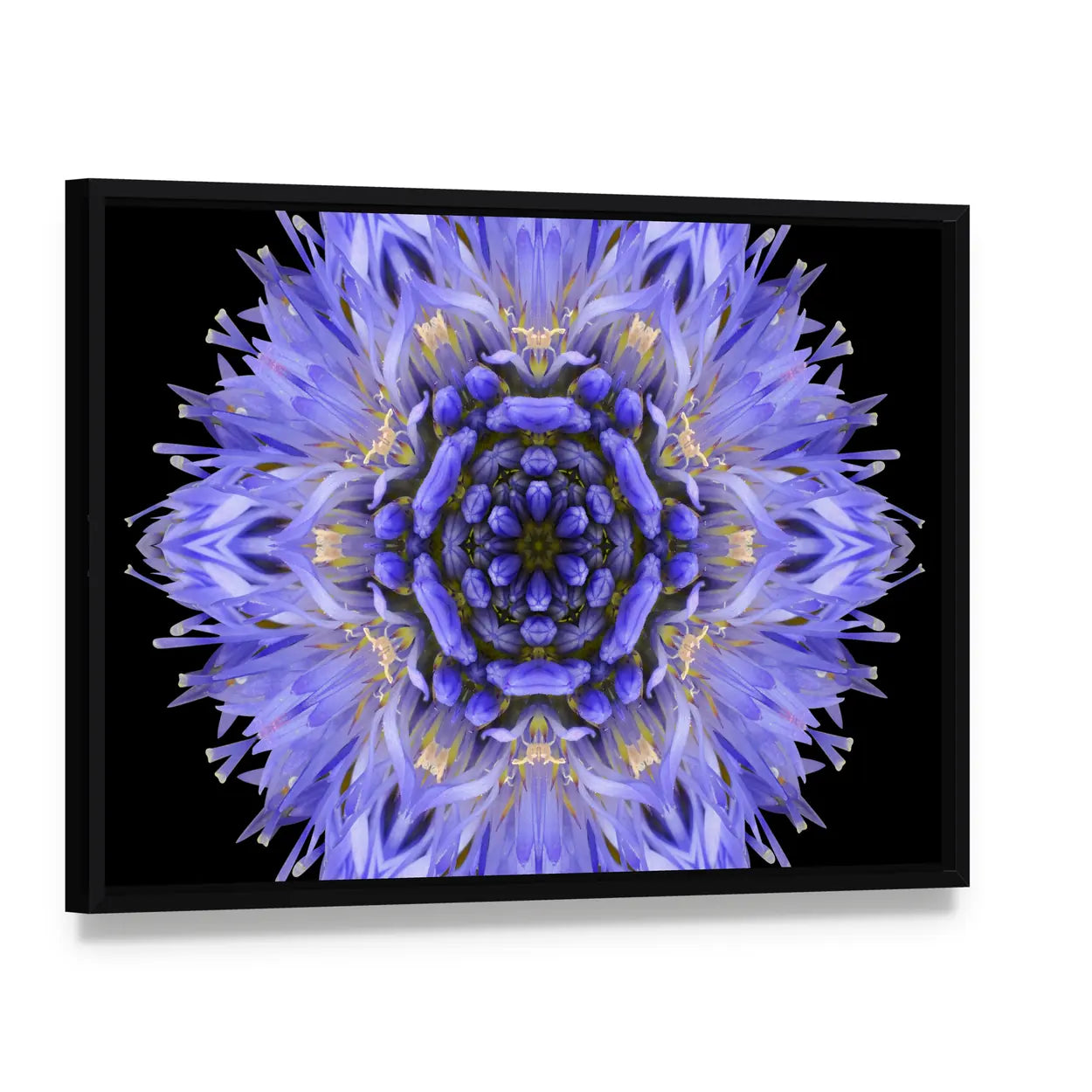 Blue Mandala Cornflower Canvas Wall Art, framed canvas in a black floater frame, angled product view