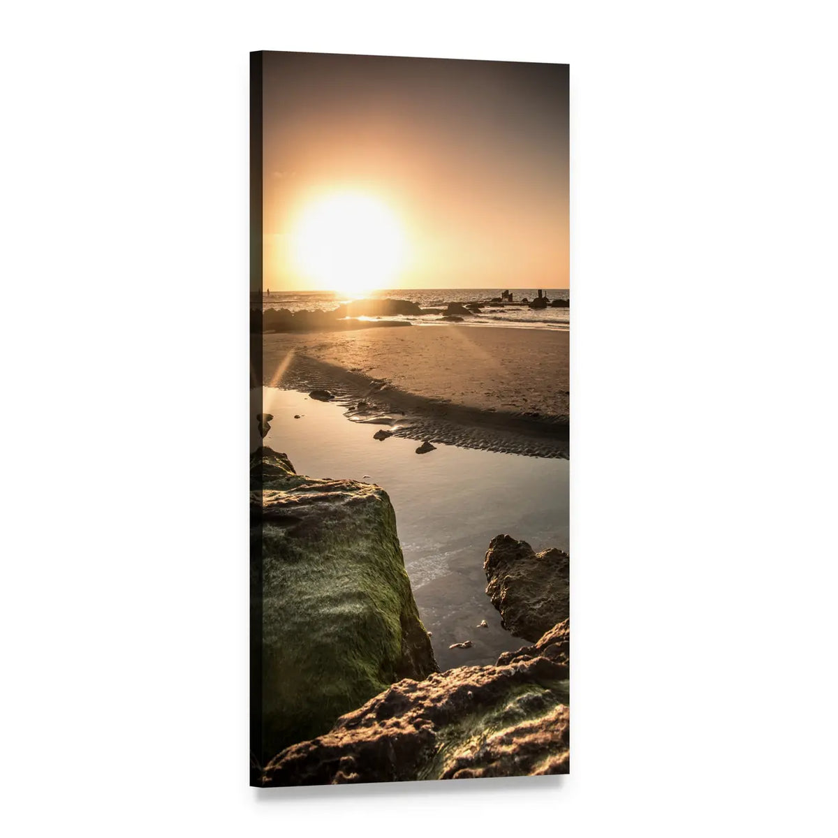 Sunset Over Mossy Beach Rocks Vertical Canvas Wall Art, 1 panel 1 Vertical layout gallery wrapped canvas set, angled product view