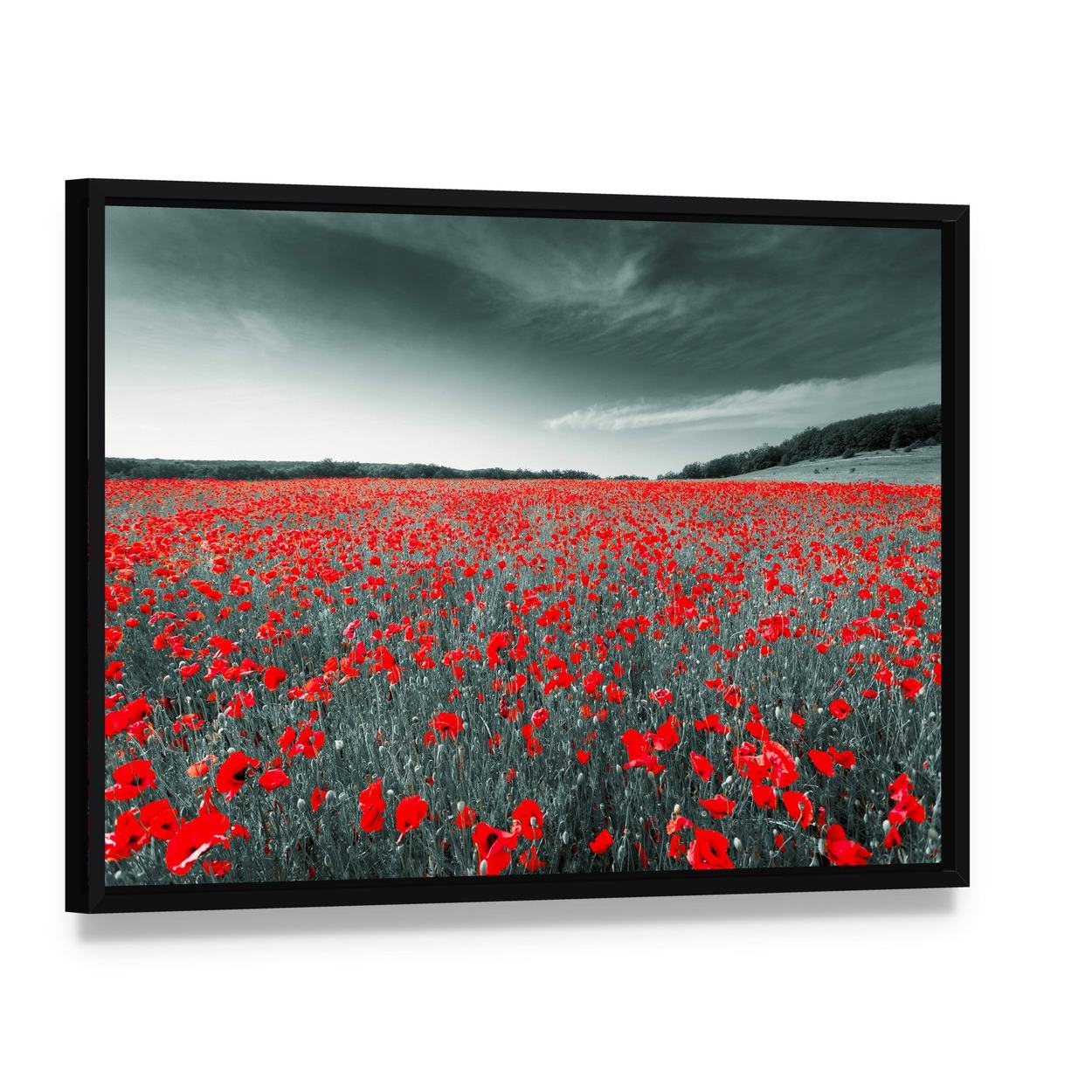 Meadow with Red Poppies Canvas Wall Art, framed canvas in a black floater frame, angled product view
