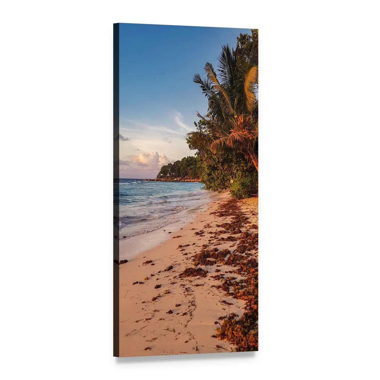 Seychelles Beach with Palm Trees Vertical Canvas Wall Art, 1 panel 1 Vertical layout gallery wrapped canvas set, angled product view
