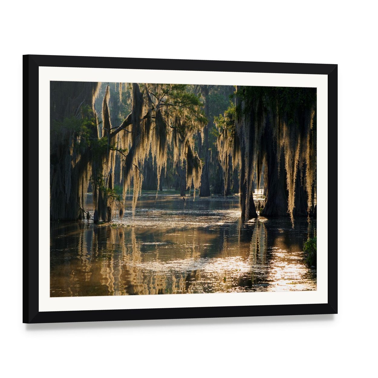 Spanish Moss in the Louisiana Bayou Canvas Wall Art, framed print with white mat and black frame, angled product view