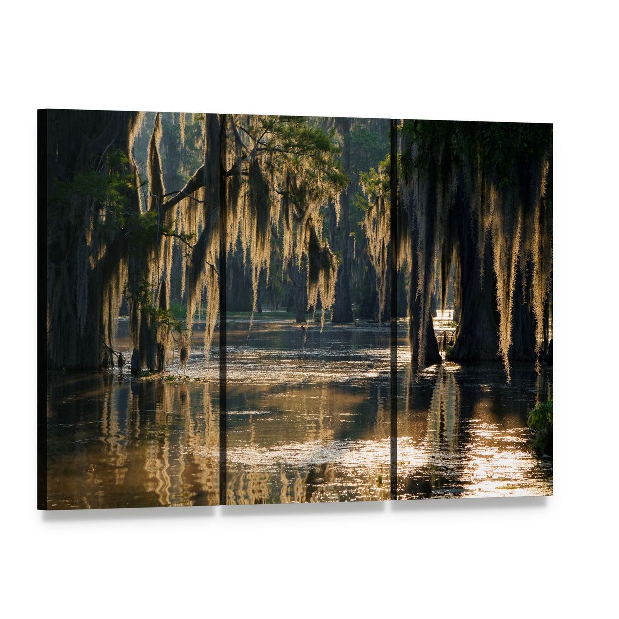 Spanish Moss in the Louisiana Bayou Canvas Wall Art, 3 panel 3 Horizontal layout gallery wrapped canvas set, angled product view