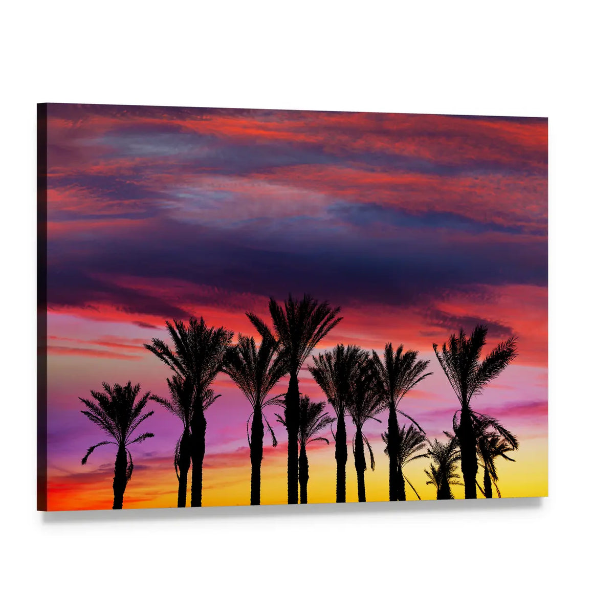 Retamar Beach Palm Trees at Sunset Canvas Wall Art, single panel gallery wrapped canvas, angled product view