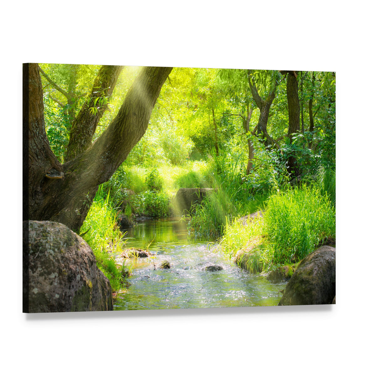Stream in the Tropical Forest Canvas Wall Art, single panel gallery wrapped canvas, angled product view