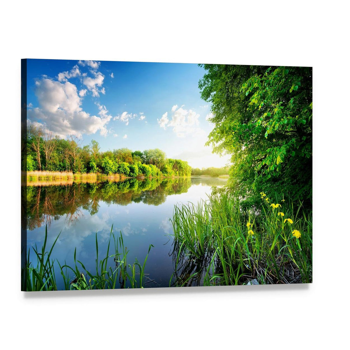 Trees by Calm River in the Morning Canvas Wall Art, single panel gallery wrapped canvas, angled product view
