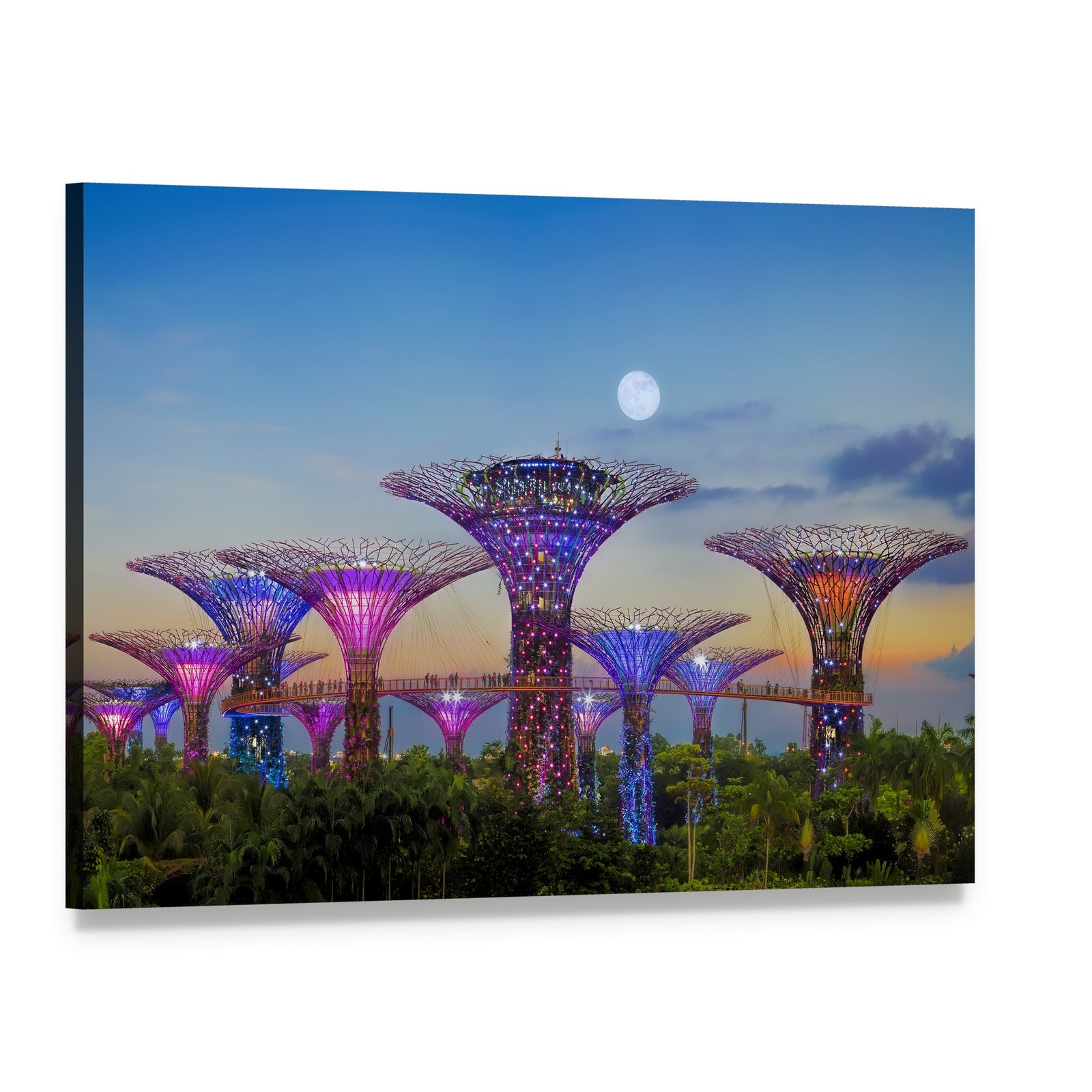Supertrees Under a Full Moon Canvas Wall Art, single panel gallery wrapped canvas, angled product view