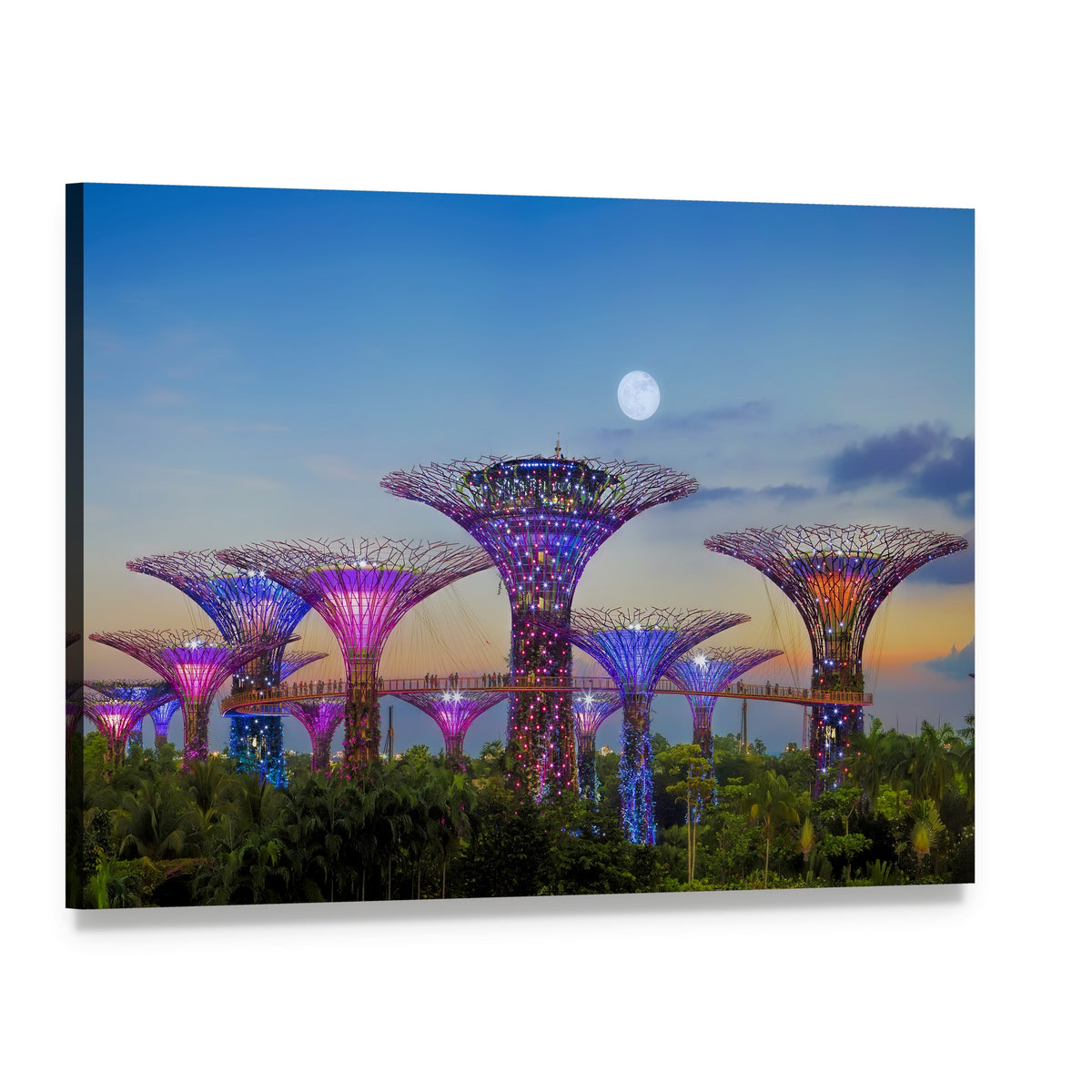 Supertrees Under a Full Moon Canvas Wall Art, single panel gallery wrapped canvas, angled product view