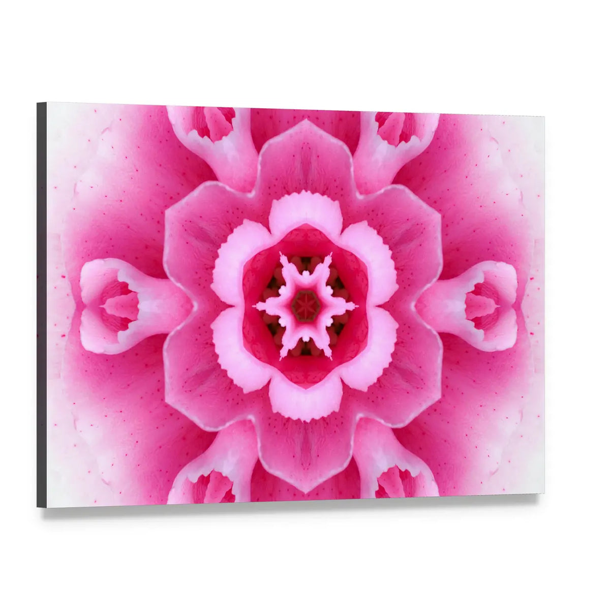 Pink Concentric Flower Canvas Wall Art, single panel gallery wrapped canvas, angled product view