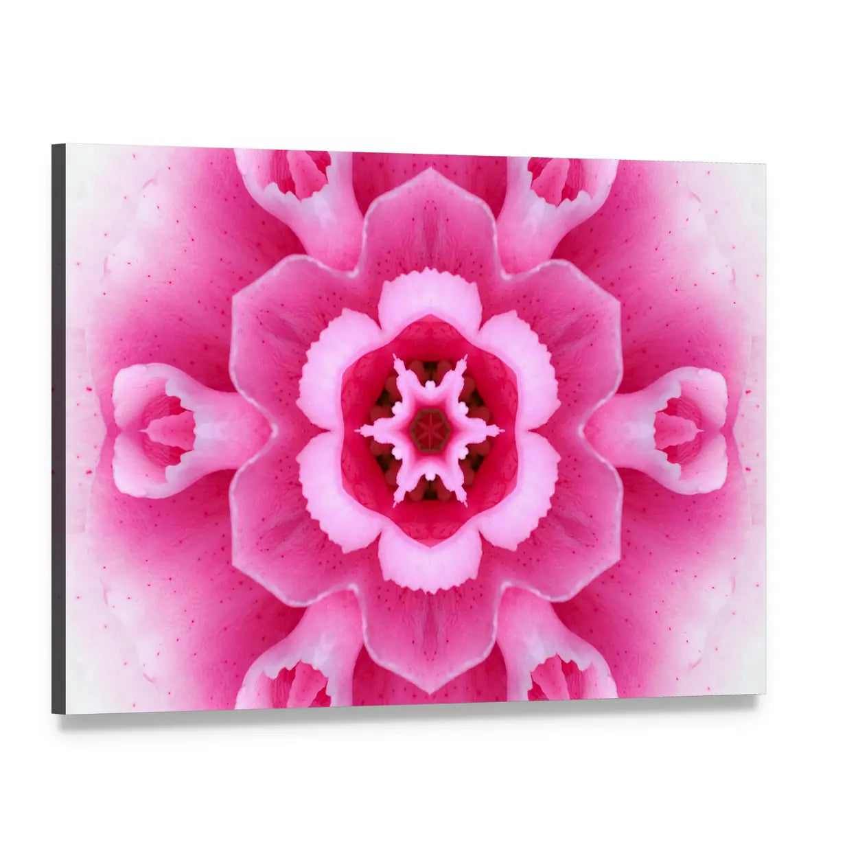 Pink Concentric Flower Canvas Wall Art, single panel gallery wrapped canvas, angled product view