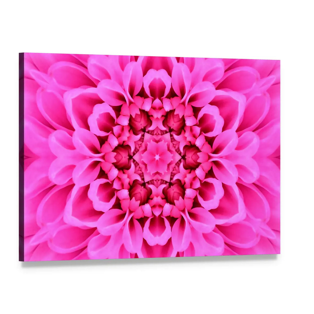 Pink Concentric Flower Canvas Wall Art, single panel gallery wrapped canvas, angled product view