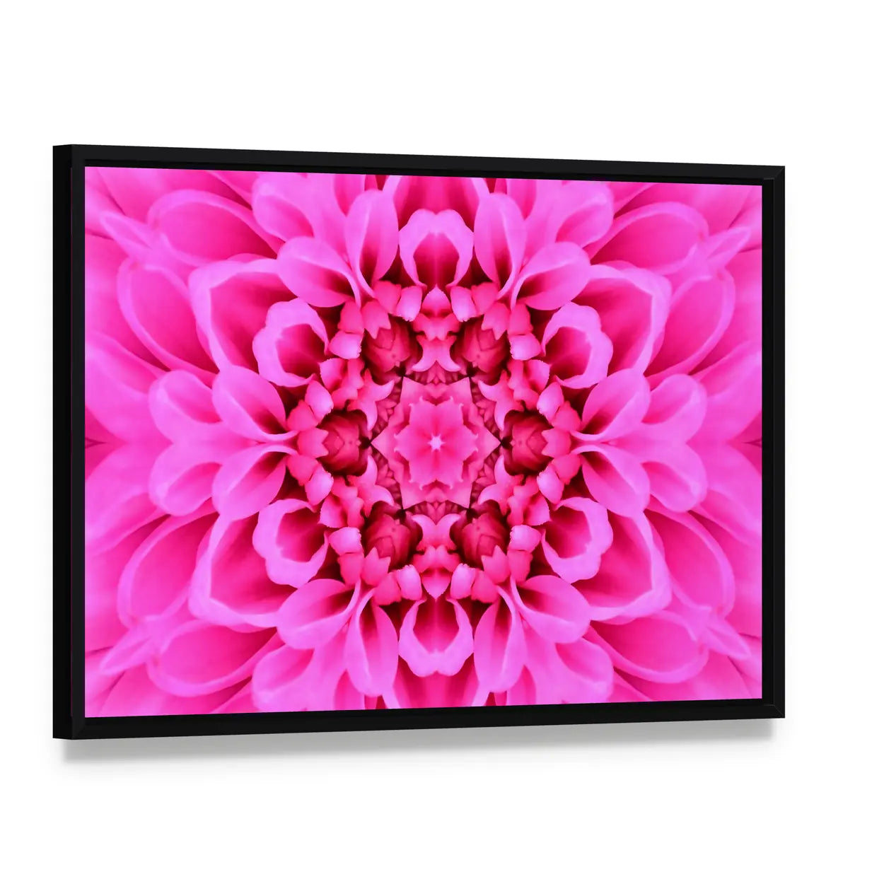 Pink Concentric Flower Canvas Wall Art, framed canvas in a black floater frame, angled product view