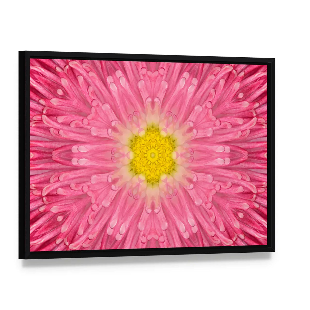 Daisy Pink Flower Canvas Wall Art, framed canvas in a black floater frame, angled product view