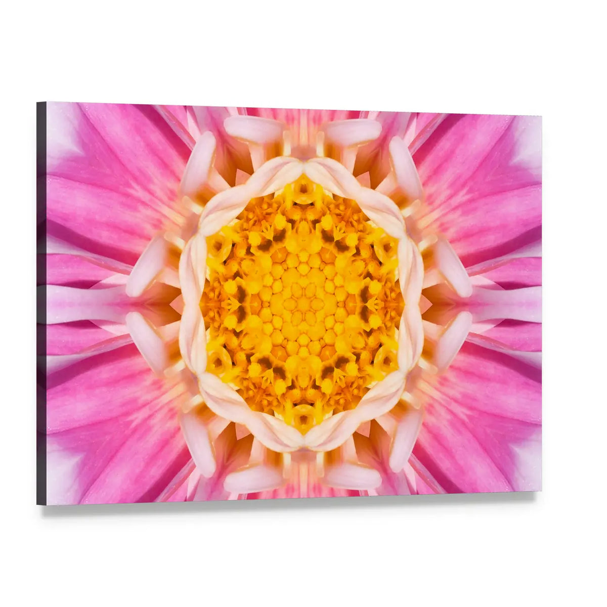 Pink Mandala Flower Canvas Wall Art, single panel gallery wrapped canvas, angled product view