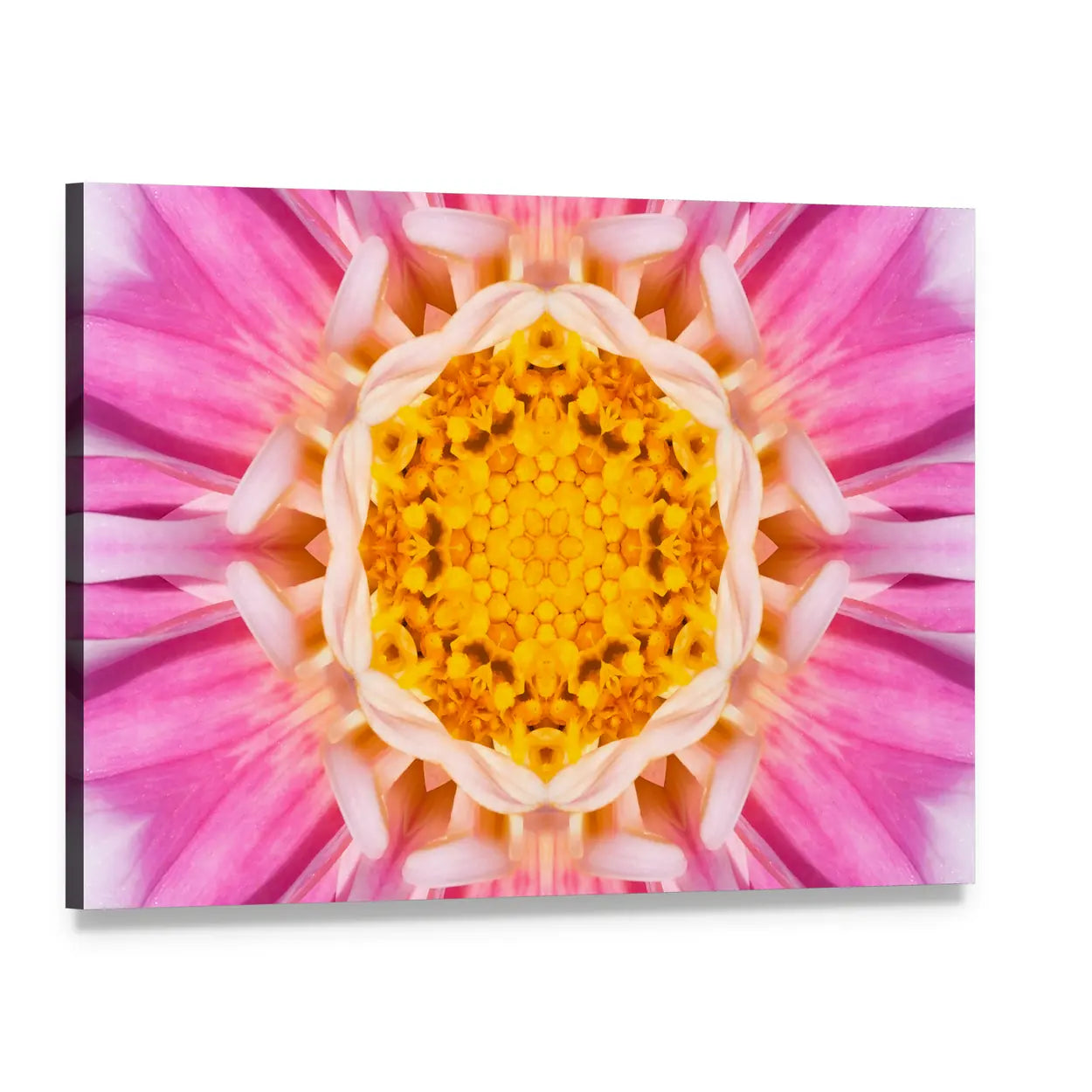 Pink Mandala Flower Canvas Wall Art, single panel gallery wrapped canvas, angled product view