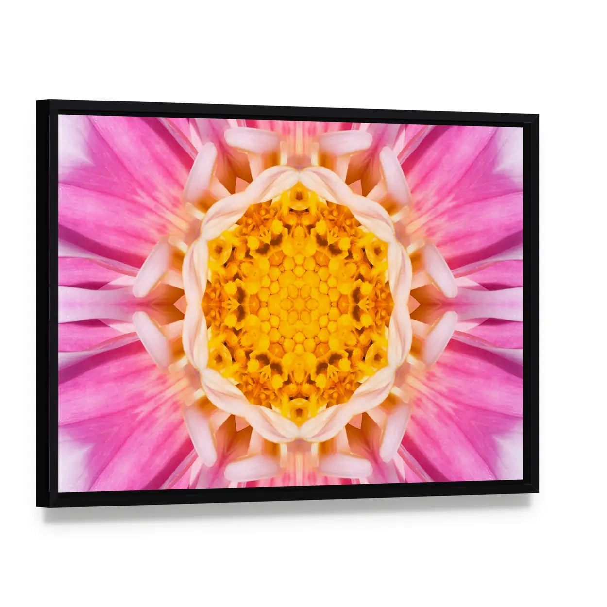 Pink Mandala Flower Canvas Wall Art, framed canvas in a black floater frame, angled product view