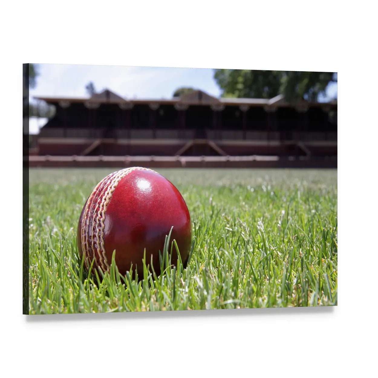 Shiny Cricket Ball on Grass Canvas Wall Art, single panel gallery wrapped canvas, angled product view