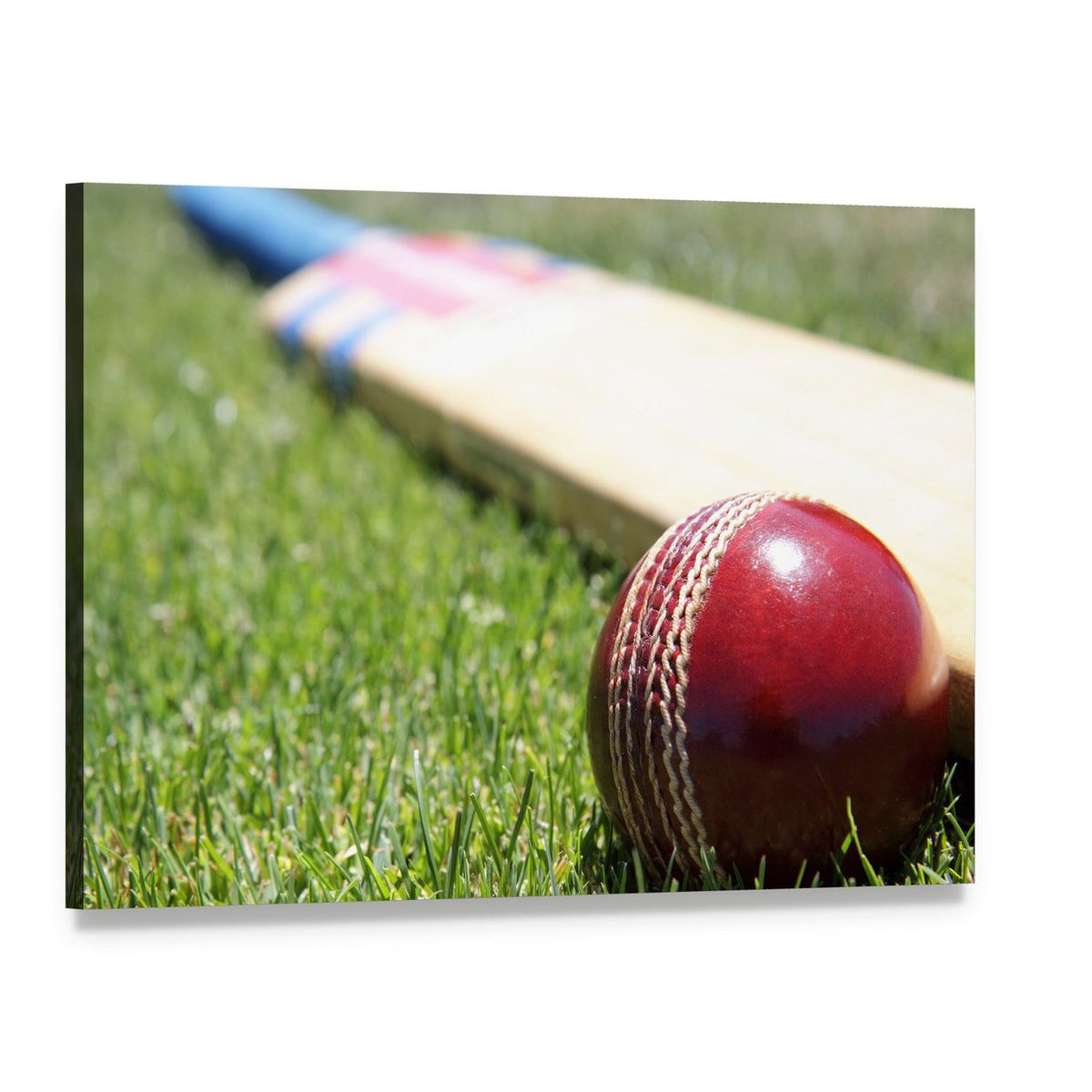 Cricket Ball and Bat on Grass Canvas Wall Art, single panel gallery wrapped canvas, angled product view