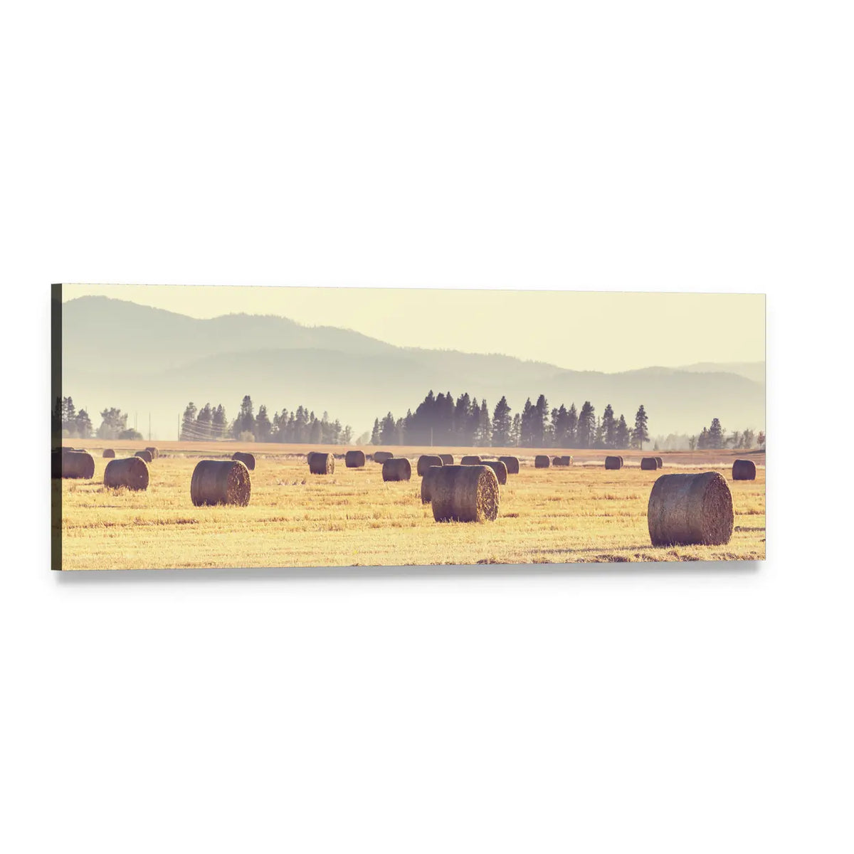 Hay Bales in Harvest Field Panoramic Canvas Wall Art, single panel gallery wrapped canvas, angled product view
