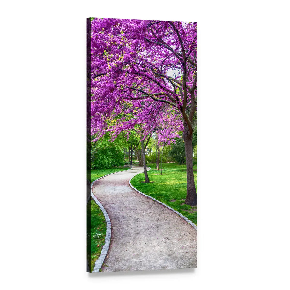Spring Path with Blooming Purple Trees Vertical Canvas Wall Art, 1 panel 1 Vertical layout gallery wrapped canvas set, angled product view