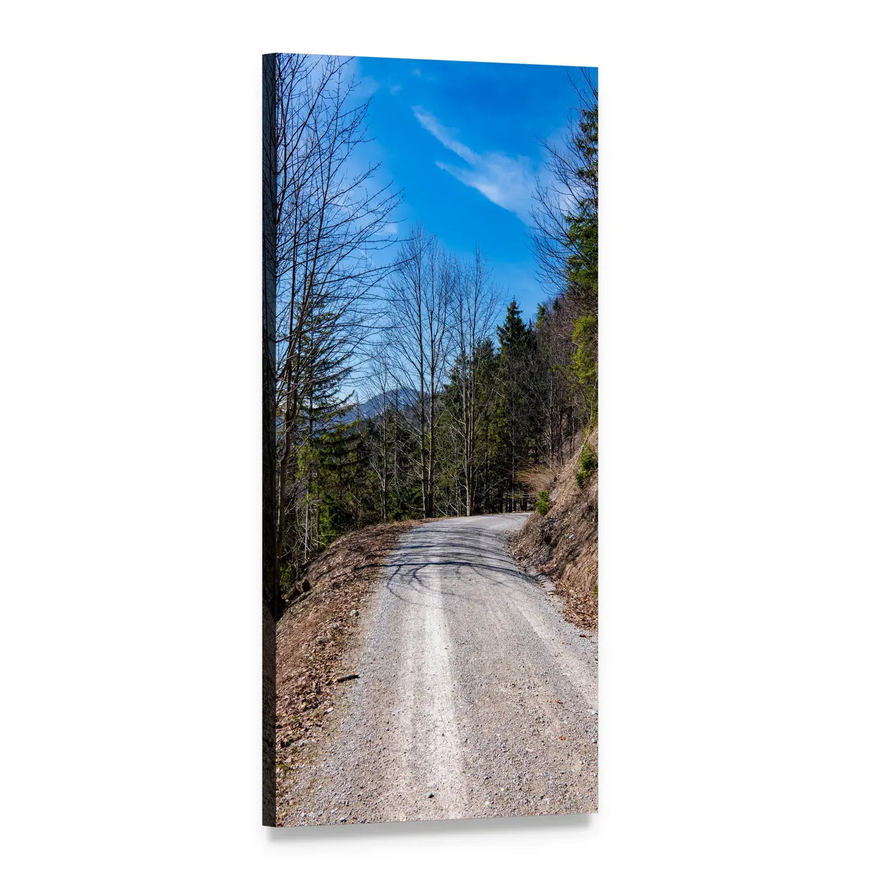 Winding Alpine Road Vertical Canvas Wall Art, 1 panel 1 Vertical layout gallery wrapped canvas set, angled product view