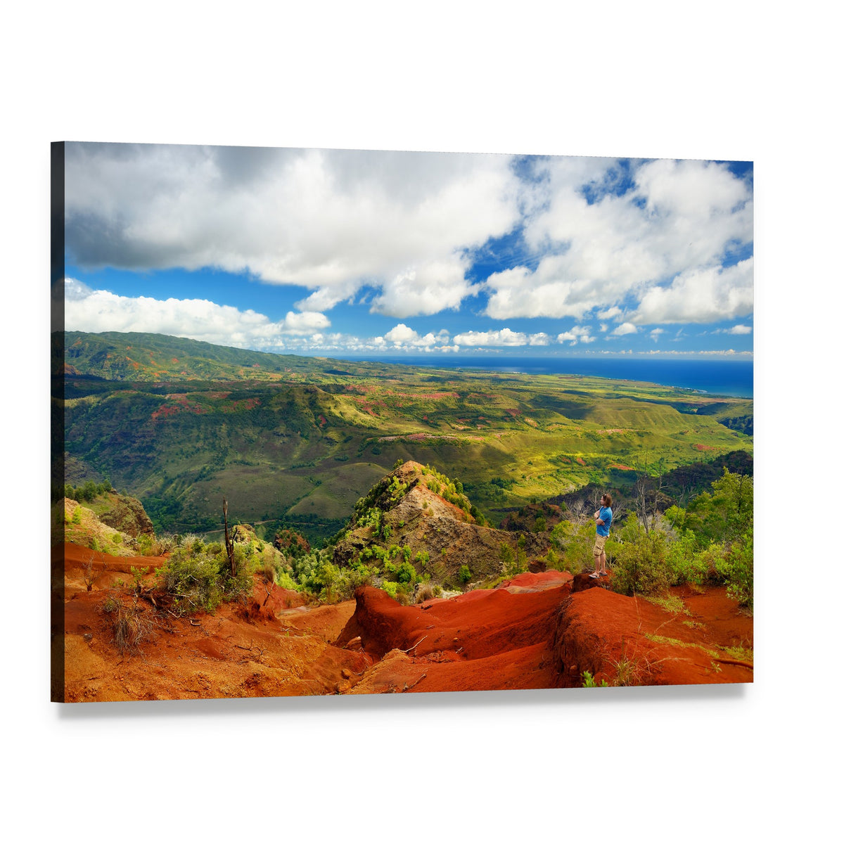View Into Waimea Canyon Canvas Wall Art, single panel gallery wrapped canvas, angled product view