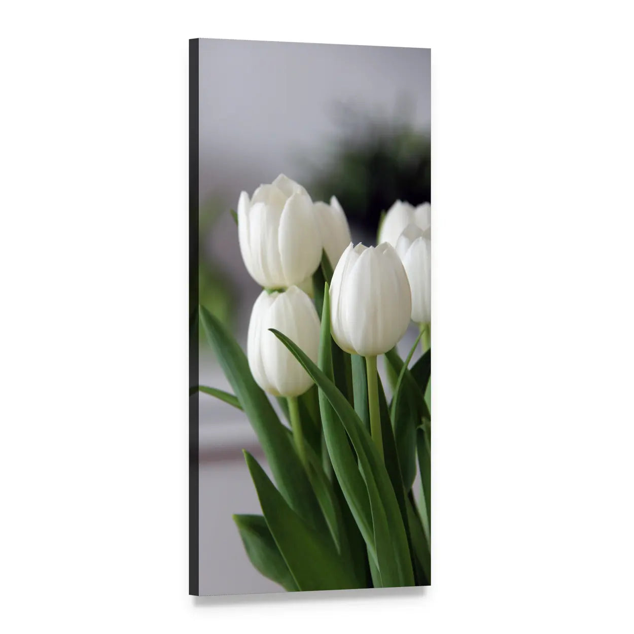 White Tulip Bouquet Close-up Vertical Canvas Wall Art, 1 panel 1 Vertical layout gallery wrapped canvas set, angled product view