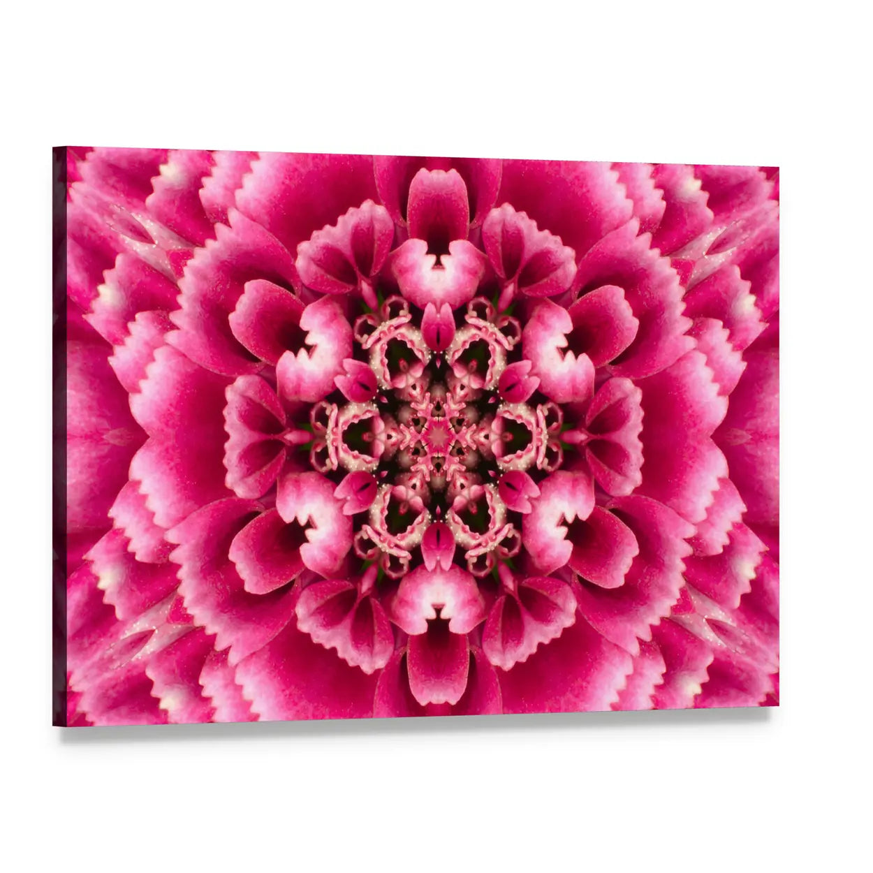 Concentric Mandala Flower Canvas Wall Art, single panel gallery wrapped canvas, angled product view