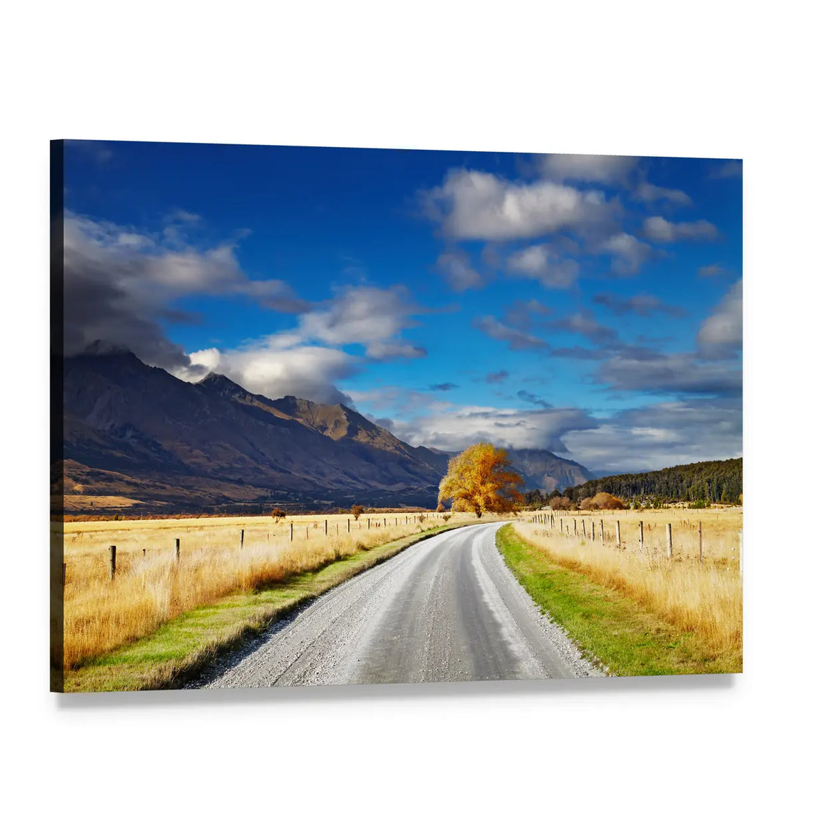 Winding Mountain Road with Golden Tree Canvas Wall Art, single panel gallery wrapped canvas, angled product view