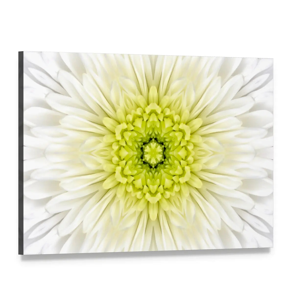 White Mandala Concentric Flower Canvas Wall Art, single panel gallery wrapped canvas, angled product view