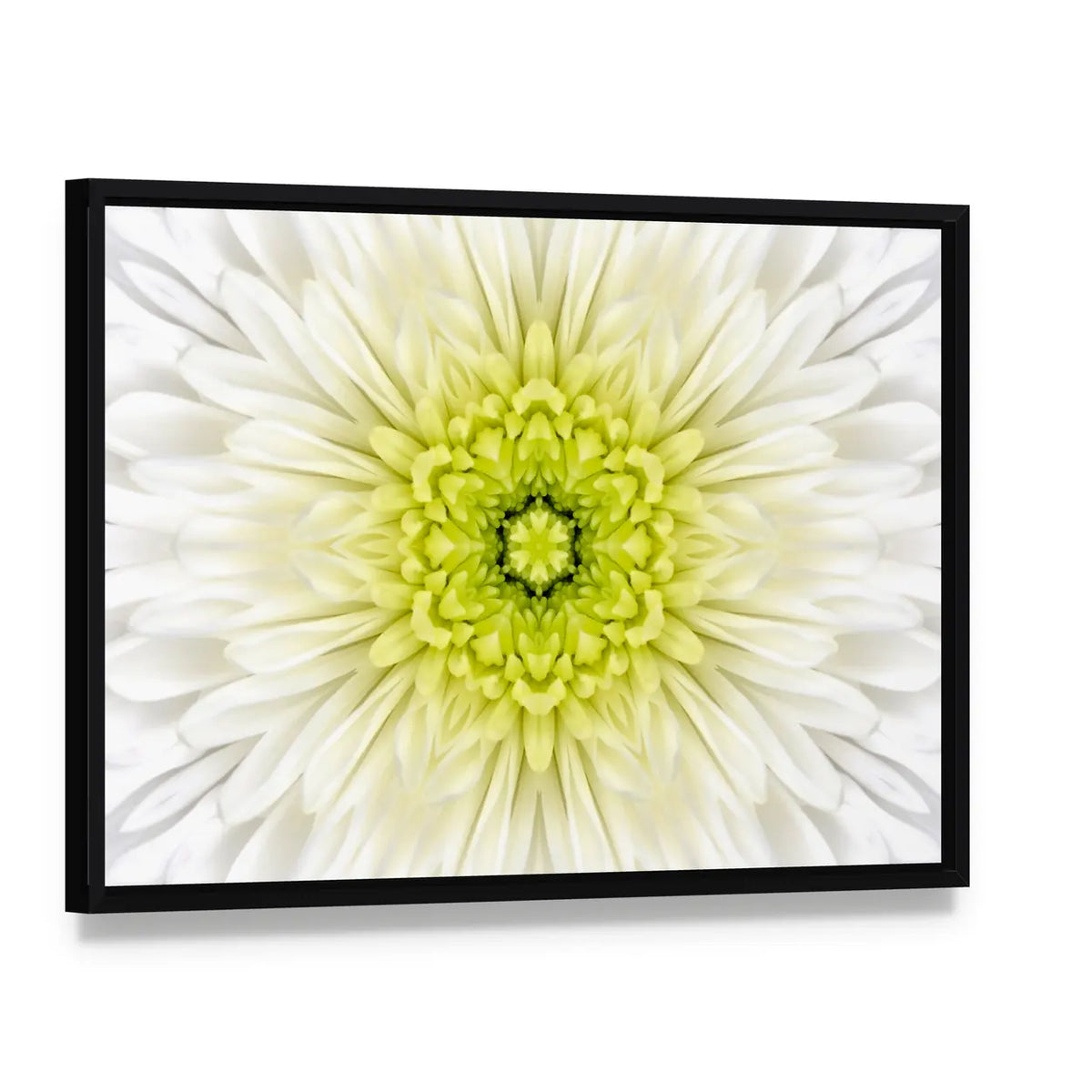 White Mandala Concentric Flower Canvas Wall Art, framed canvas in a black floater frame, angled product view