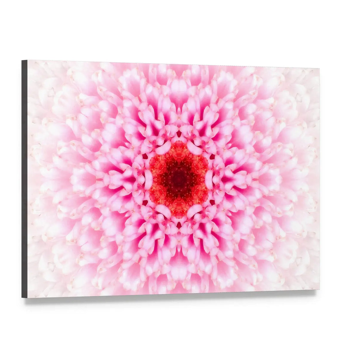 White Mandala Concentric Flower Canvas Wall Art, single panel gallery wrapped canvas, angled product view