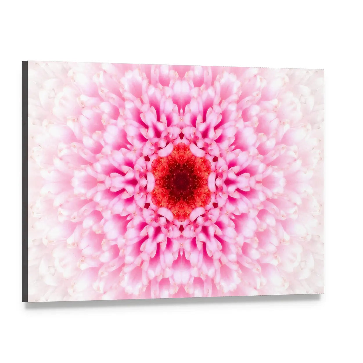 White Mandala Concentric Flower Canvas Wall Art, single panel gallery wrapped canvas, angled product view