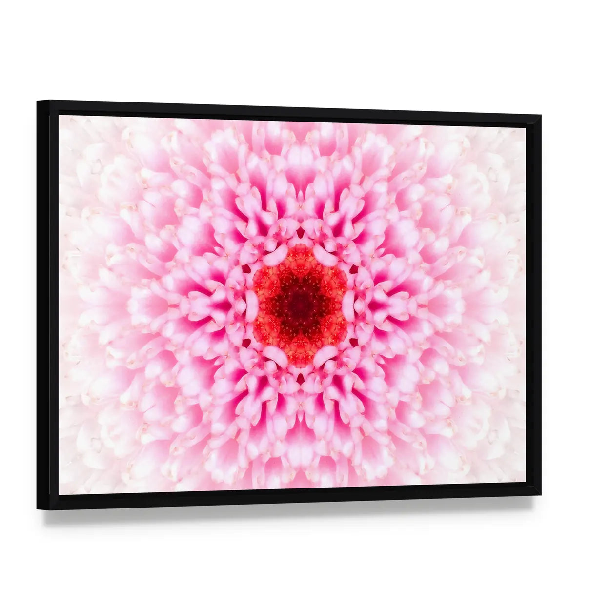 White Mandala Concentric Flower Canvas Wall Art, framed canvas in a black floater frame, angled product view