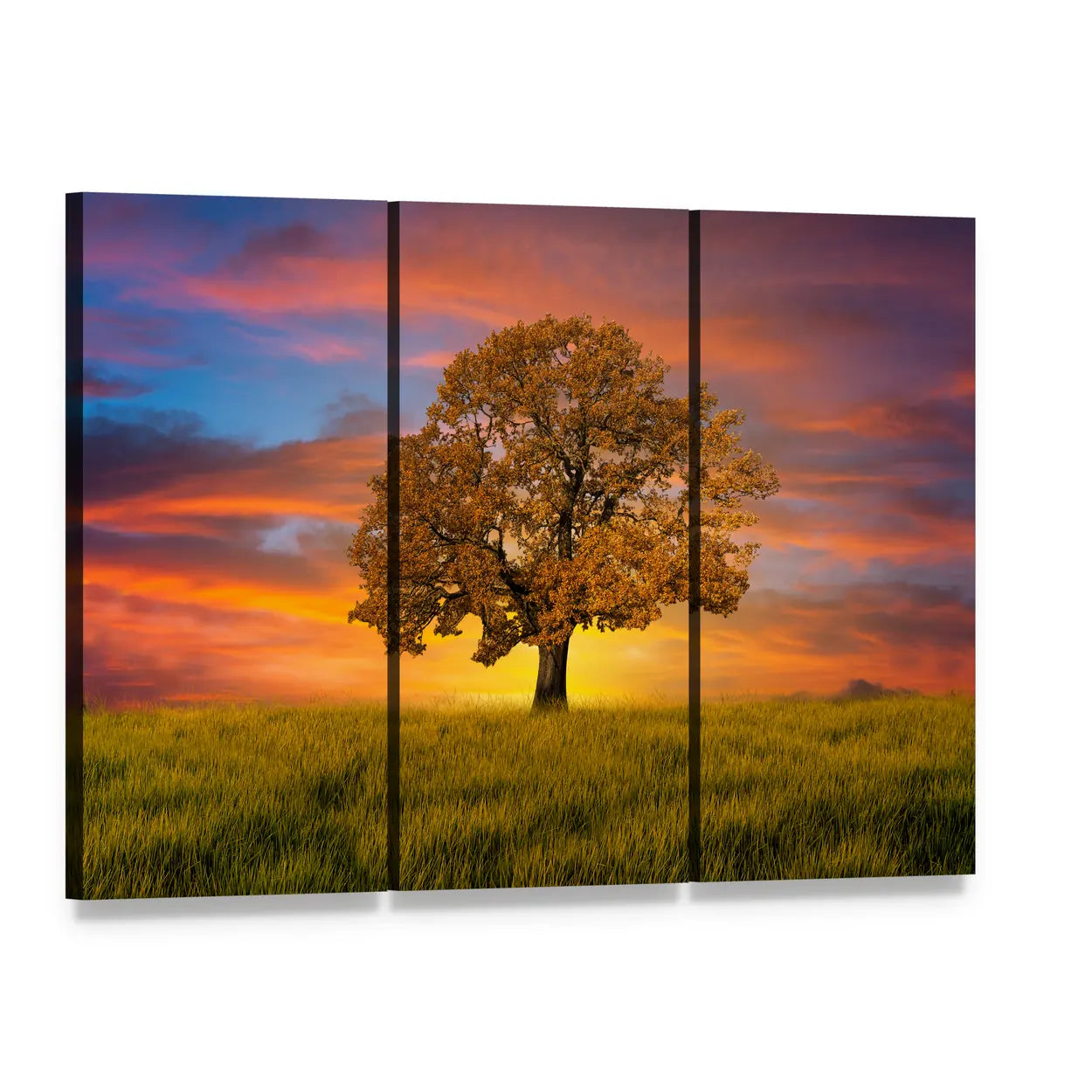 Lone Tree in Sunset Field Canvas Wall Art, 3 panel 3 Horizontal layout gallery wrapped canvas set, angled product view