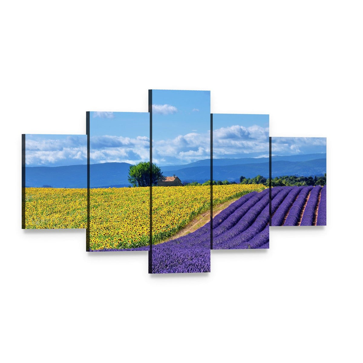 Lavender and Sunflower Countryside Landscape Canvas Wall Art, 5 panel 5 Star layout gallery wrapped canvas set, angled product view