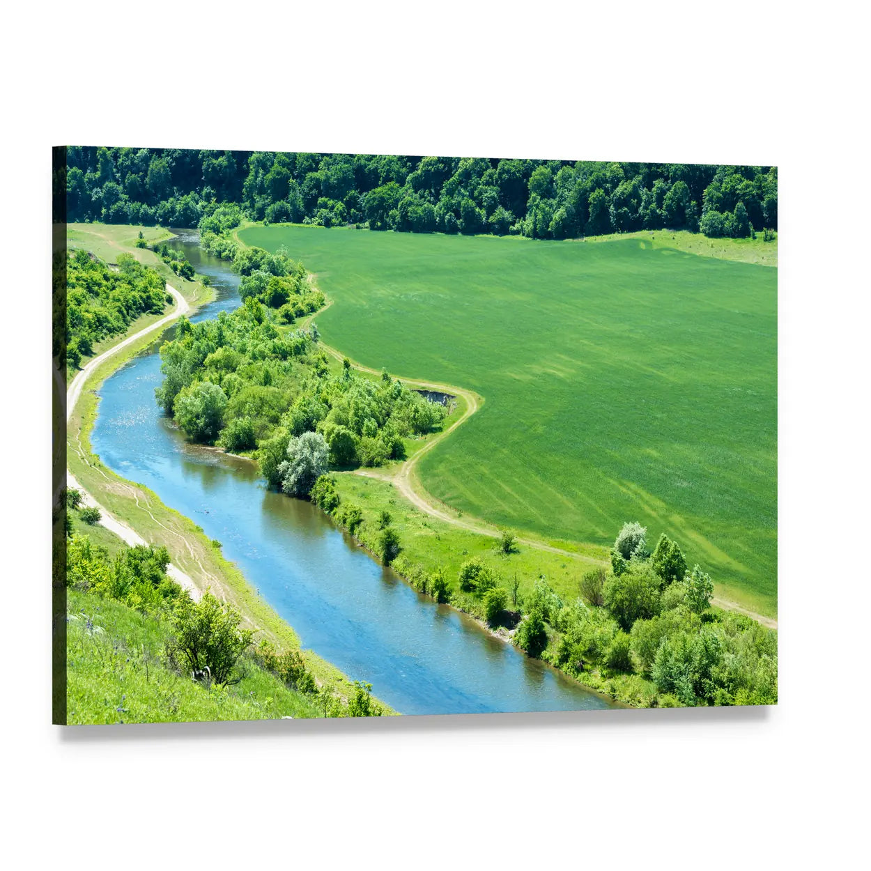 Winding Blue River in Green Field Canvas Wall Art, single panel gallery wrapped canvas, angled product view