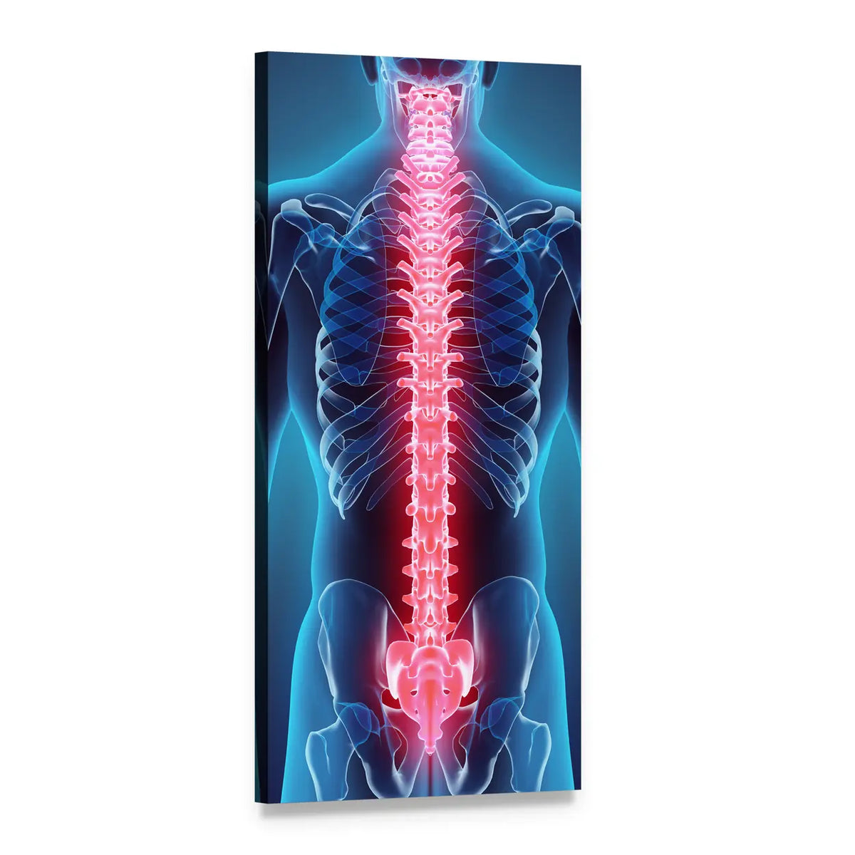 Glowing Spine Anatomy Illustration Vertical Canvas Wall Art, 1 panel 1 Vertical layout gallery wrapped canvas set, angled product view