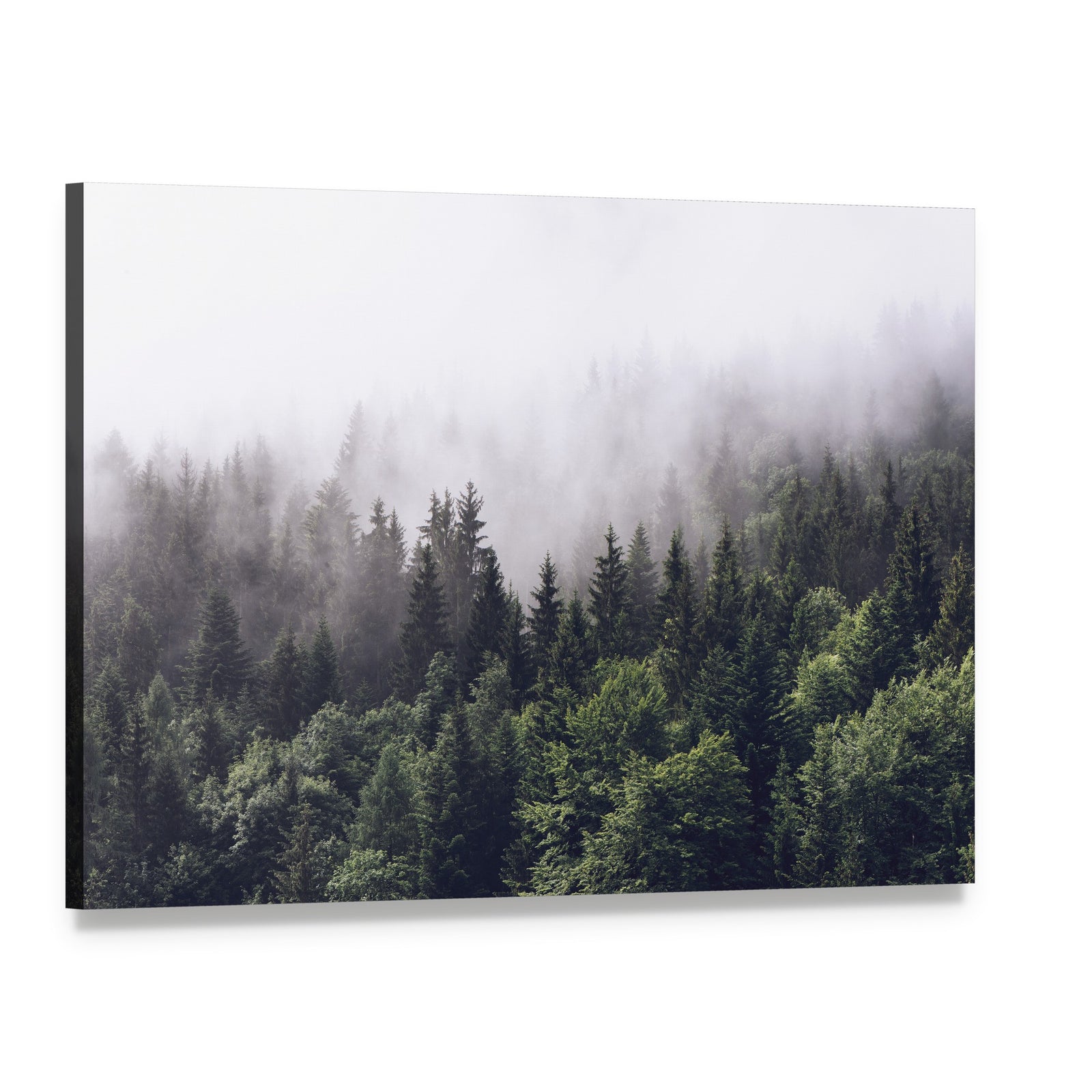 Misty Forest and Mountain Scene Canvas Wall Art, single panel gallery wrapped canvas, angled product view