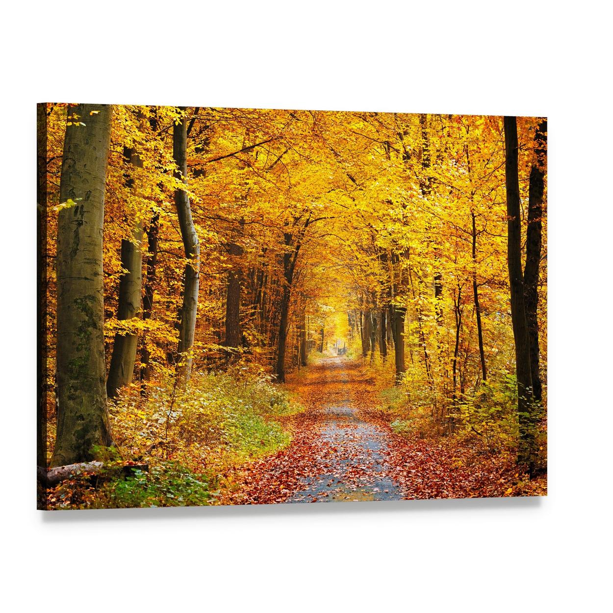 Road in the Autumn Forest Canvas Wall Art, single panel gallery wrapped canvas, angled product view