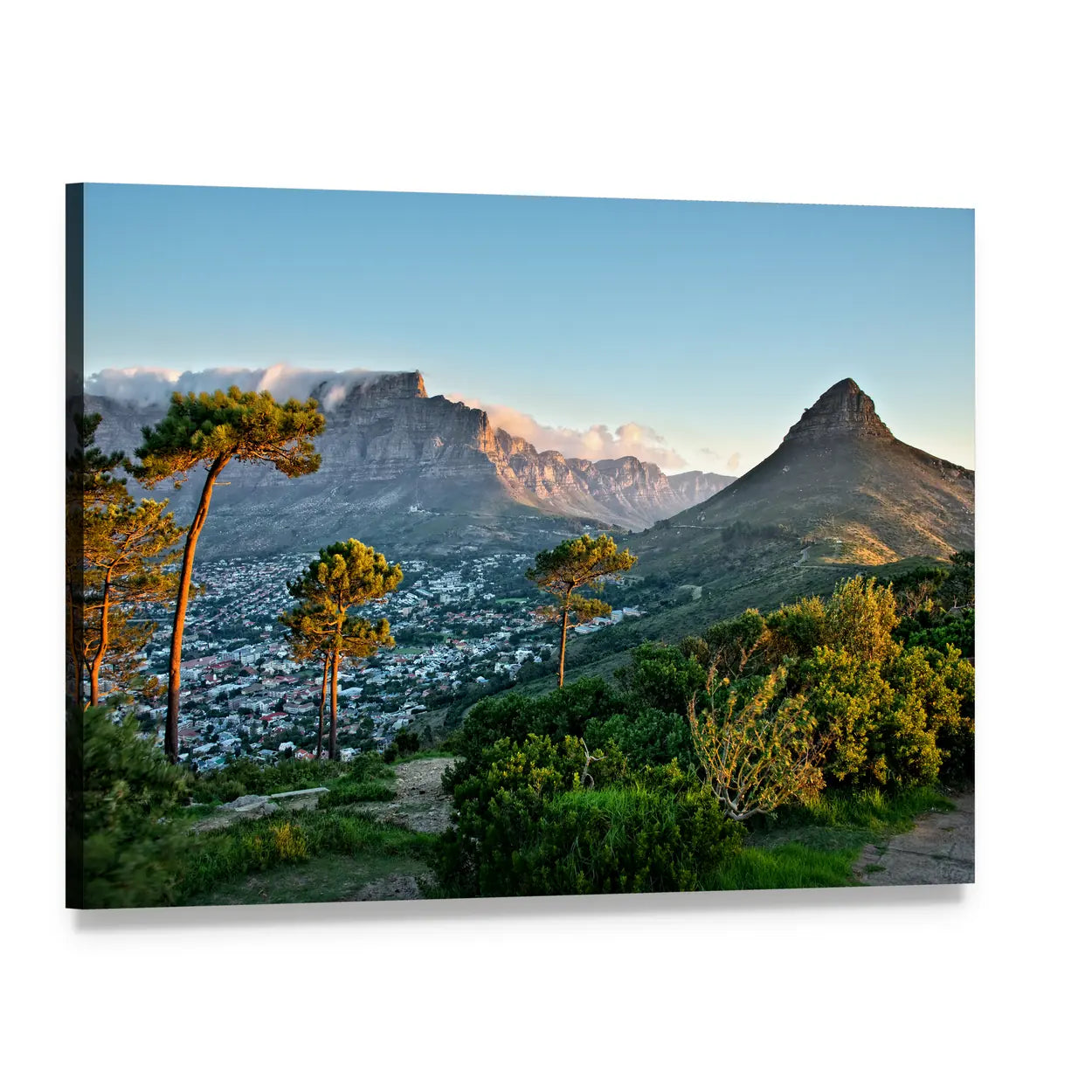 Signal Hill in Cape Town Canvas Wall Art, single panel gallery wrapped canvas, angled product view