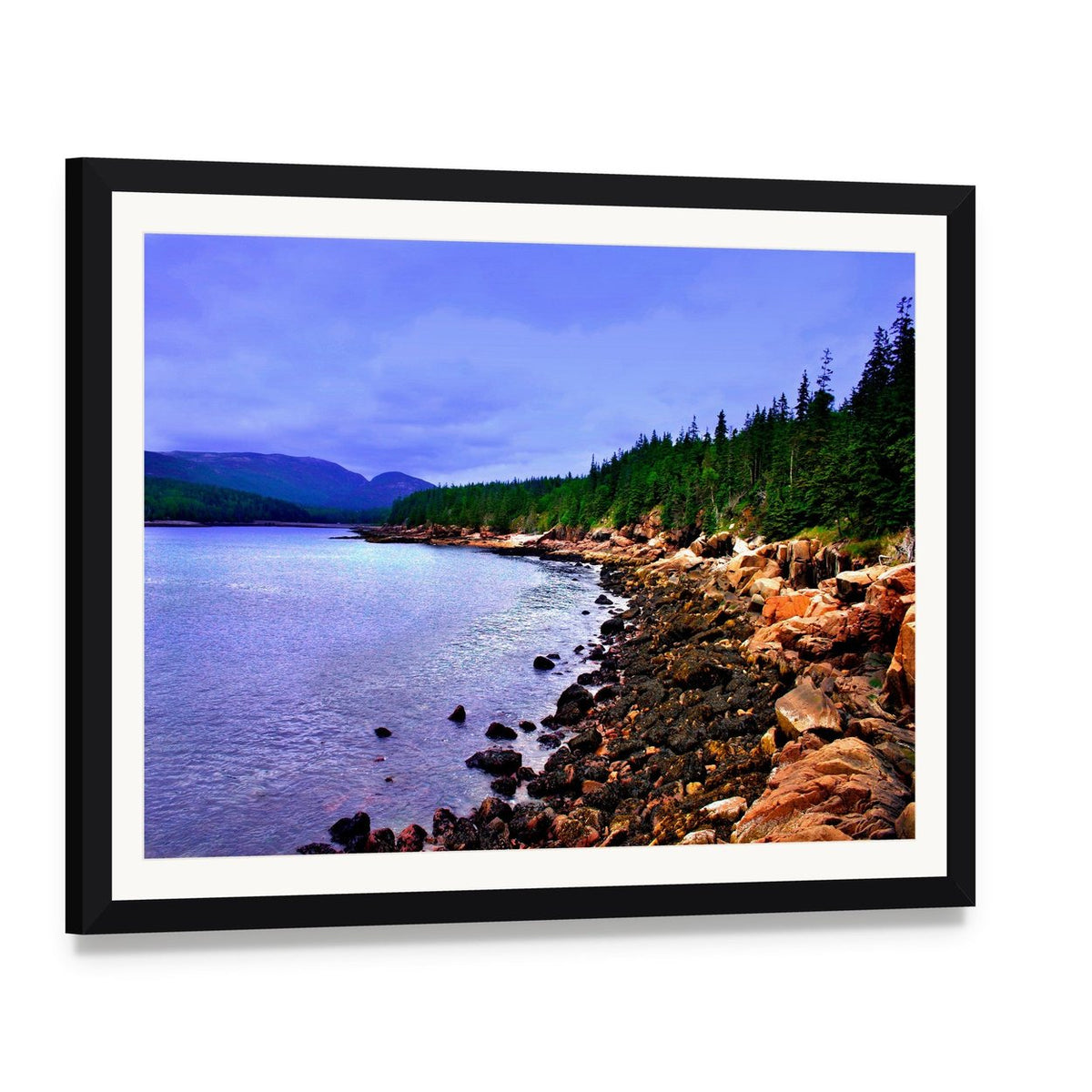 Acadia National Park Coastal Forest View Canvas Wall Art, framed print with white mat and black frame, angled product view